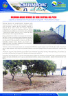Vista preliminar de documento 25 Abril