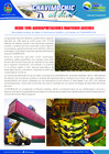 Vista preliminar de documento 17 Abril