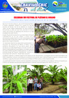 Vista preliminar de documento 15 Abril