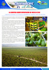 Vista preliminar de documento 28 Marzo