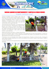 Vista preliminar de documento 27 Marzo
