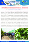 Vista preliminar de documento 05 Marzo