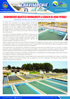 Vista preliminar de documento 15 Febrero