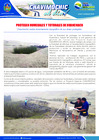 Vista preliminar de documento 11 Febrero