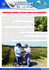 Vista preliminar de documento 03 Enero