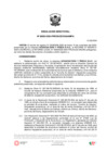 Vista preliminar de documento RD 00022 2024 PRODUCE DGAAMPA