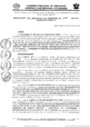 Vista preliminar de documento 008-2024-RG