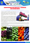 Vista preliminar de documento 30 Noviembre
