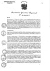 Vista preliminar de documento 0115-2024-GRA-GR