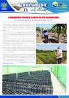 Vista preliminar de documento 12 Julio