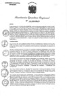 Vista preliminar de documento 0119-2024-GRA-GR