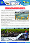 Vista preliminar de documento 26 Mayo