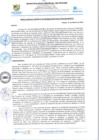 Vista preliminar de documento rgi95