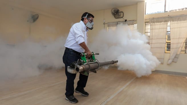 Minsa intervendrá más de 23 000 viviendas para evitar dengue en San Juan de Miraflores