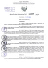 Vista preliminar de documento Resolución Directoral. N° 0687 - 2024 