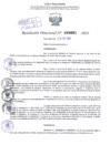 Vista preliminar de documento Resolución Directoral. N° 0691 - 2024 