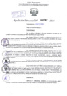 Vista preliminar de documento Resolución Directoral. N° 0767 - 2024 