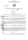 Vista preliminar de documento Resolución Directoral. N° 0782 - 2024 