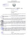 Vista preliminar de documento Resolución Directoral. N° 0737 - 2024 