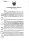 Vista preliminar de documento 0116-2024-GRA-GR