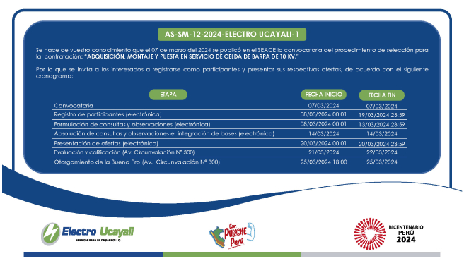 Adjudicación Simplificada N.º AS-SM-12-2024-ELECTRO UCAYALI-1