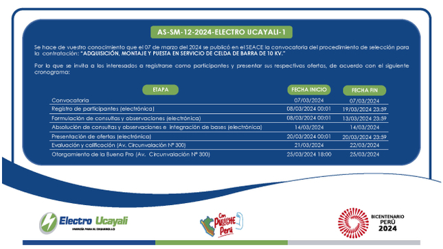 Adjudicación Simplificada N.º AS-SM-12-2024-ELECTRO UCAYALI-1