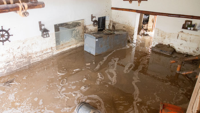 casas afectadas