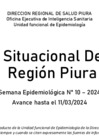 Vista preliminar de documento Sala Diaria Dengue semana 10-2024 Piura 10-03-2024