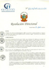 Vista preliminar de documento RD N° 137-04-2019-HCLLH-SA