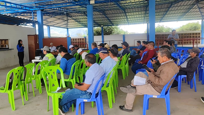 Mesa Técnica de la cadena de valor de la palta en las provincias de Cajabamba y San Marcos