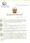 Vista preliminar de documento RD N° 206-05-2019-HCLLH-SA