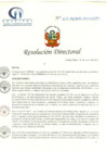Vista preliminar de documento RD N° 217-06-2019-HCLLH-SA