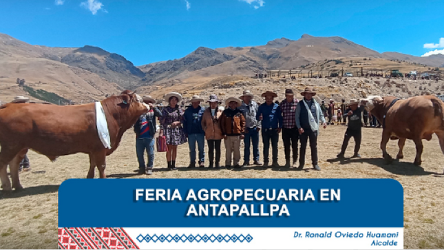 imágenes de la feria en la comunidad de Antapallpa