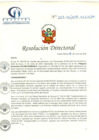 Vista preliminar de documento RD N° 223-06-2019-HCLLH-SA