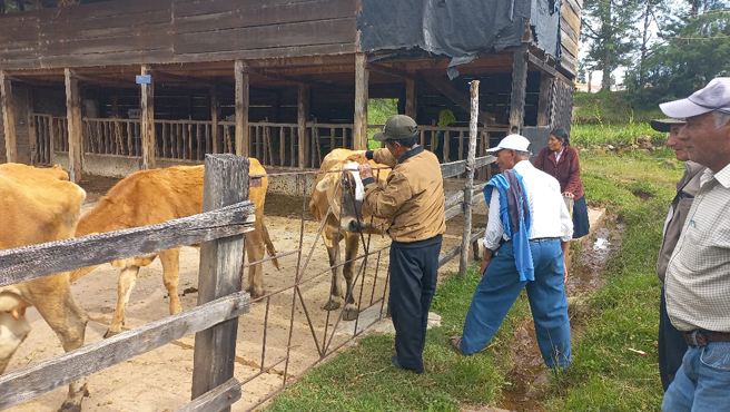 Realizaron caminata y visita al CETPRO - CEFOP de Cajabamba