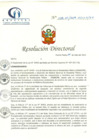 Vista preliminar de documento RD N° 228-07-2019-HCLLH-SA