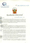 Vista preliminar de documento RD N° 231-07-2019-HCLLH-SA