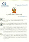 Vista preliminar de documento RD N° 236-07-2019-HCLLH-SA