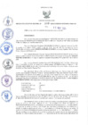 Vista preliminar de documento RER. 166