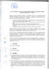 Vista preliminar de documento Sesión 13