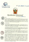 Vista preliminar de documento RD N° 276-08-2019-HCLLH-SA