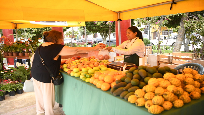 AGRO RURAL