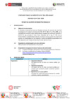 Vista preliminar de documento CAP 010-TECNICO EN ASUNTOS INTERINSTITUCIONALES III - copia[R][R][R][R]