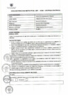 Vista preliminar de documento PERFIL - CONCURSO PUBLICO DE MERITO N°01-2024-MDSB