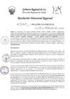 Vista preliminar de documento RDR-0167-2024