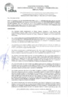 Vista preliminar de documento RESOLUCION DIRECTORAL Nº 005-2024-GRP-DRTPE-DPSC