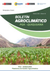 Vista preliminar de documento Boletín PGA Quiquijana - Cusco N° 02 2024