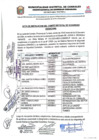Vista preliminar de documento acta de seciones del  CODISEC