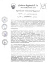 Vista preliminar de documento RDR-0177-2024