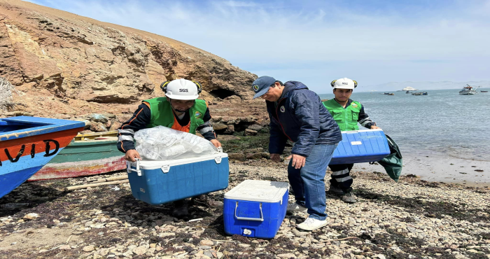IMARPE REALIZÓ MUESTREO DE SEDIMENTOS MARINOS Y ORGANISMOS BENTÓNICOS EN LA BAHÍA DE HUARMEY